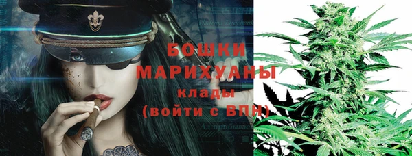 шишки Нягань