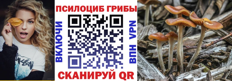 Купить закладки  Златоуст  Псилоцибиновые грибы Psilocybe 